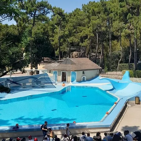 Camping Spacieux Mobilhomme La Tremblade